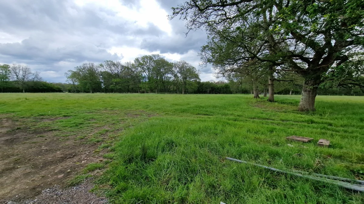 Grassland and trees photographed during a Leith ecological walkover