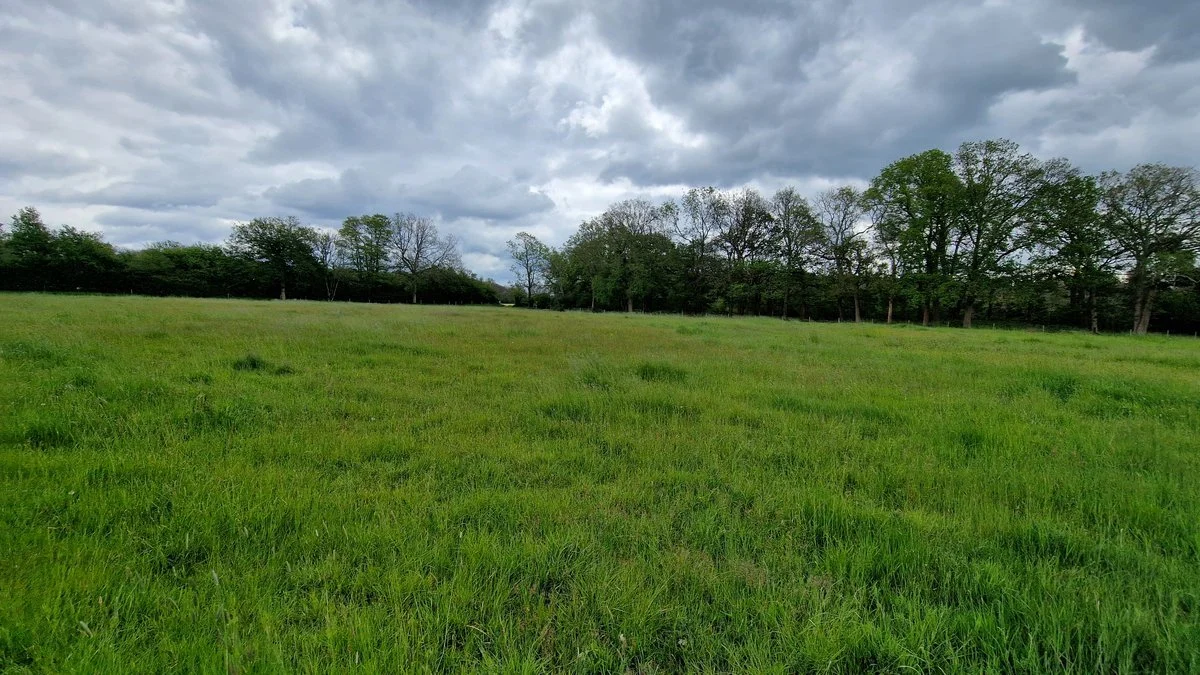 Grassland recorded during a Leith rural development survey